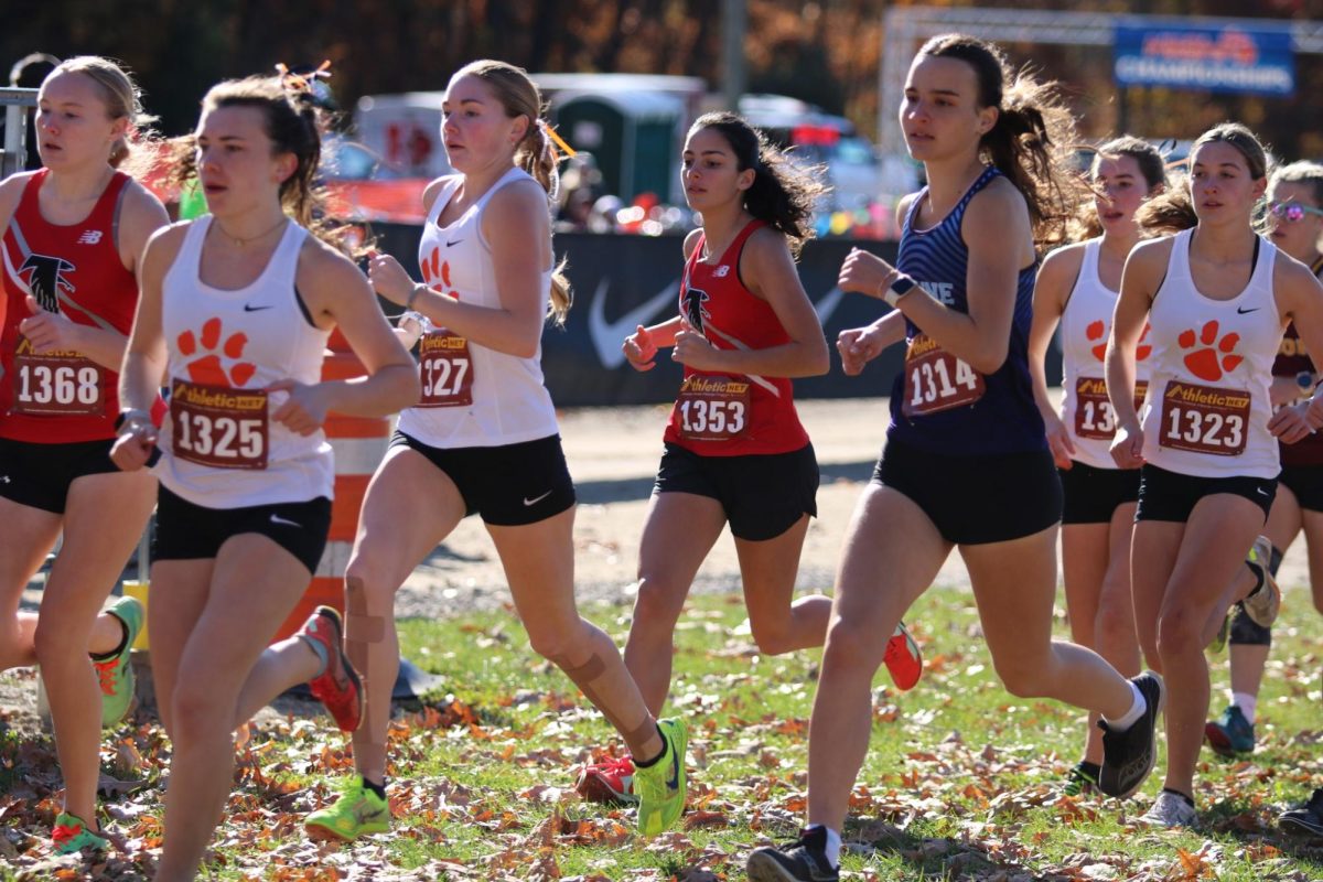 Both the boys and girls cross country team secured their bid for the state meet at the regional meet.