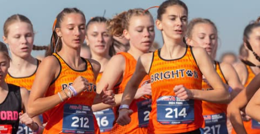 Brighton runners Elle Bissett (left) and Lydia LaMarra (right) race to the finish at the 2024 MHSAA cross country state meet.