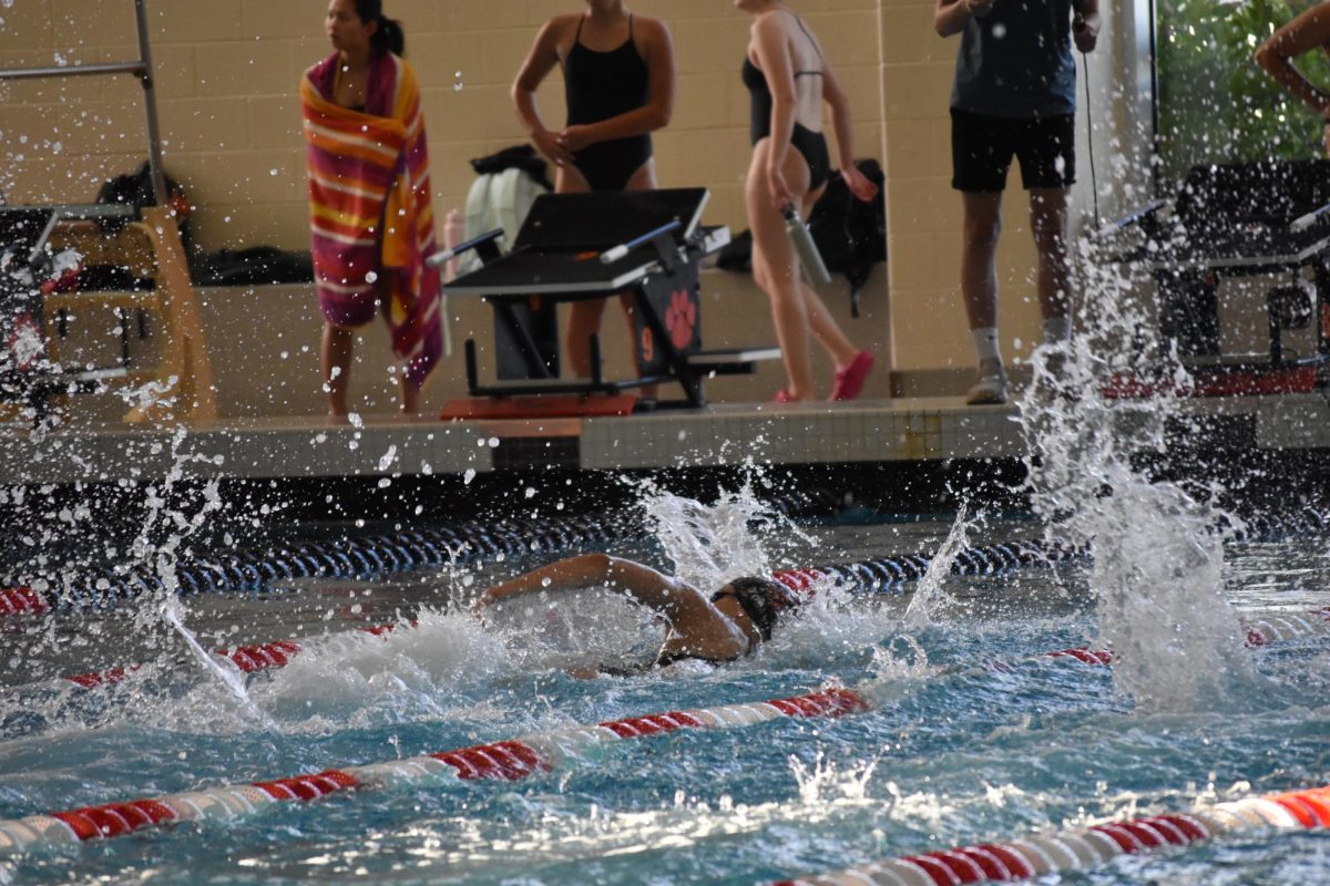 Brighton High School's girls swim and dive team takes on Novi High School on Sept. 18, 2025.