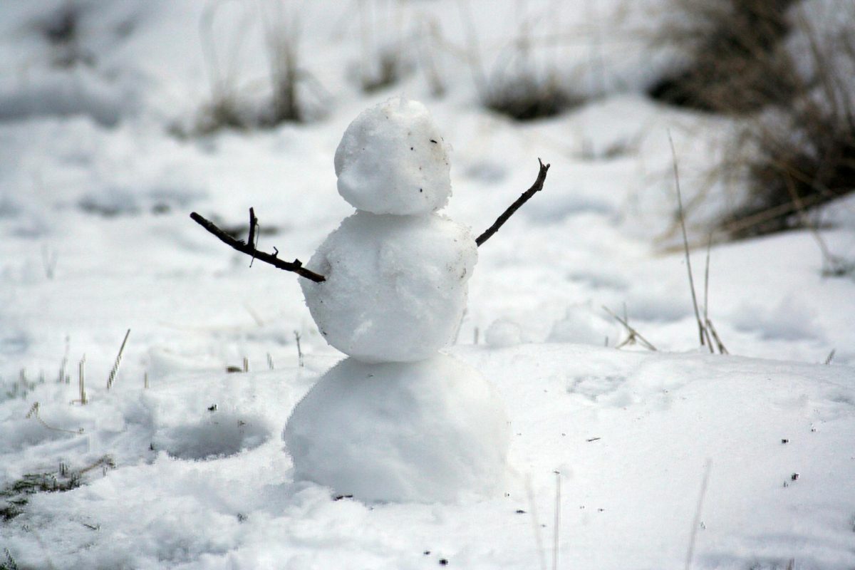 While many administrators hesitate when it comes to the academic consequences of calling snow days—and sometimes aim to subvert them even on days off with remote work—the reality is that students need just the opposite: a day of unstructured rest to recharge.