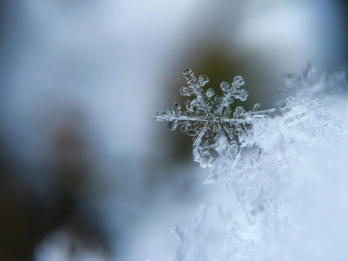 Despite having a four-day weekend off this year, a true "mid-winter" break should be a week long to provide students with the time to rest and recharge that they truly need.